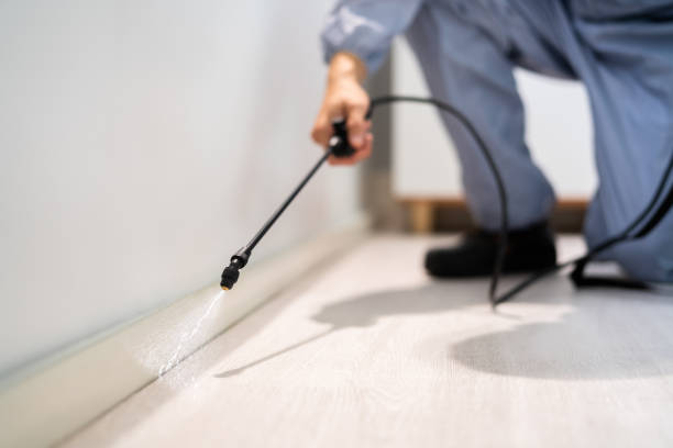 Licensed Fumigation Services service in Justice, OK - Nex Pest Control