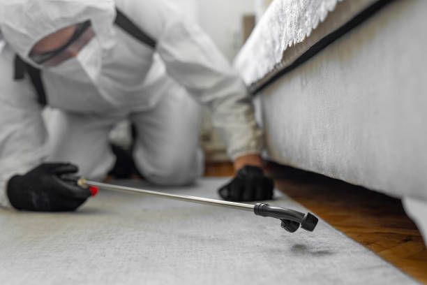 Professional Fumigation Services technician working in Justice, OK