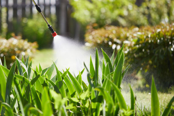 24/7 Emergency Fumigation Services experts in Justice, OK