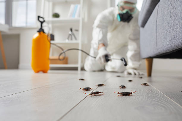 Trusted Fumigation Services service in Justice, OK - Nex Pest Control