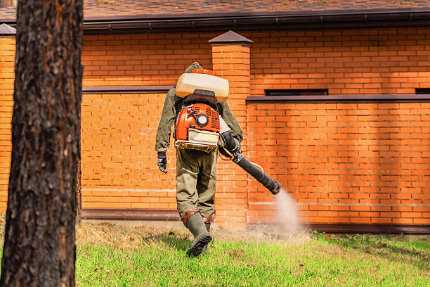 Trusted Termite Control service in Justice, OK - Nex Pest Control